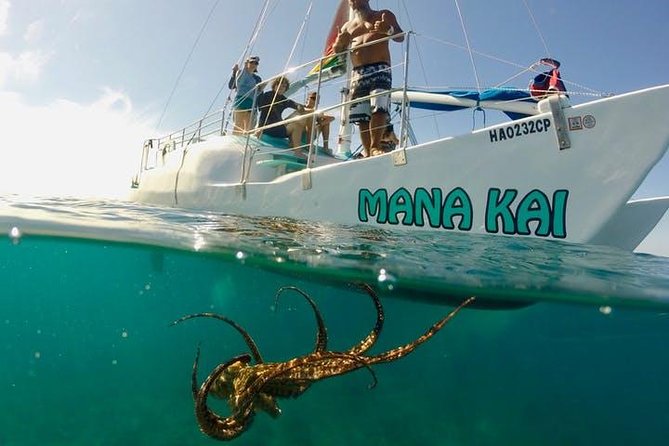 Waikiki Turtle Snorkel & Sail Combo on Hawea Catamaran - Tour Details and Inclusions