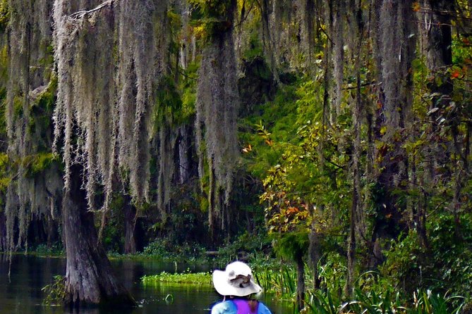 Wekiva River Guided Kayak Tour - Exploring the Wekiva River