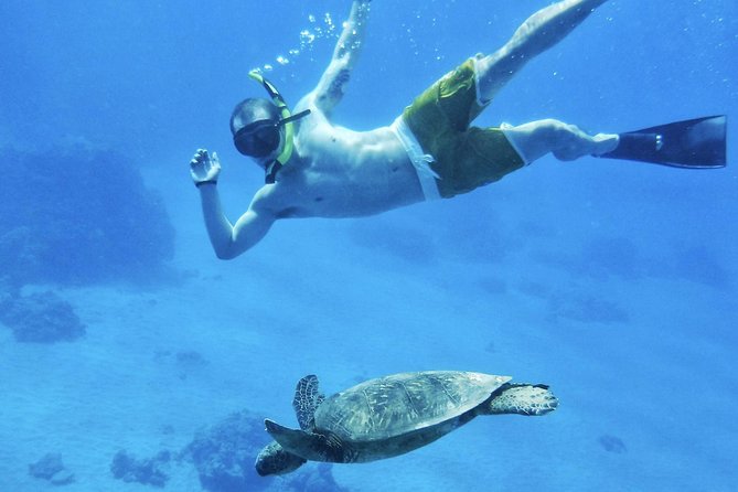 West Maui Half Day Snorkel From Ka'Anapali Beach - Exploring the Underwater World