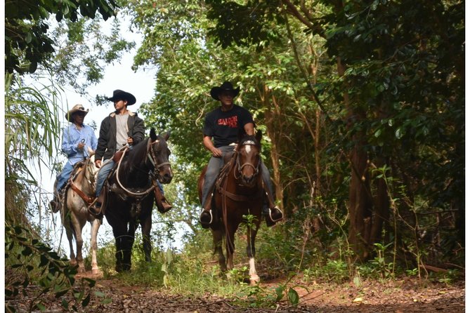 West Maui Mountain Waterfall and Ocean Tour via Horseback - Meeting and Logistics