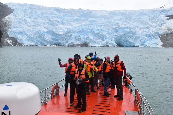 Whale and Glacier Watching From Punta Arenas Francisco Coloane Park - Navigating the Glacial Fjords