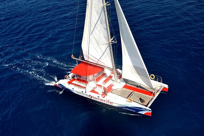 Whale Watching and Listening Eco Catamaran Tour With Food Tasting - Inclusions and Amenities