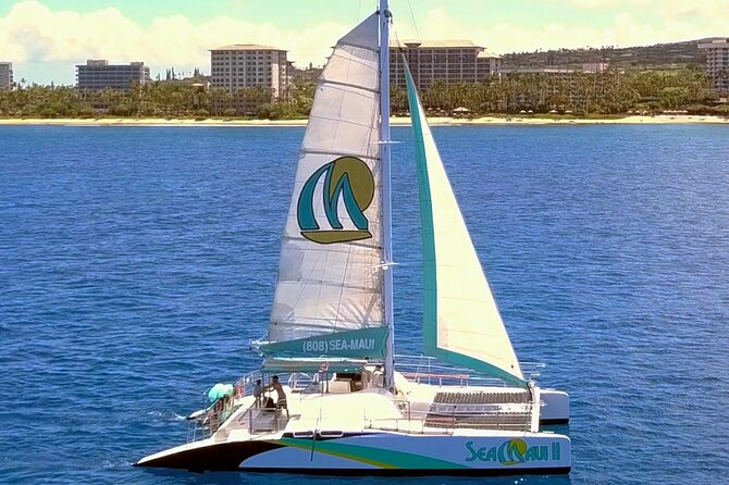 Whale Watching Cruise With Open Bar From Kaanapali Beach - Highlights of the Cruise Experience