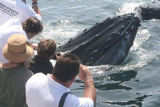Whale Watching Tour in Gloucester - On-board Amenities