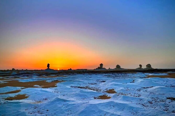 White & Black Desert Camping Tour 2 Days 1 Night From Cairo - Customer Testimonials