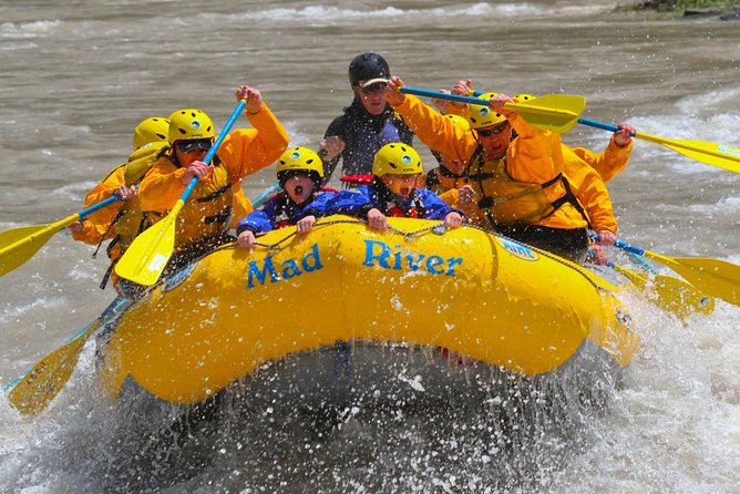 Whitewater Rafting Adventure in Jackson Hole - Classic Boats - Navigating the Snake River