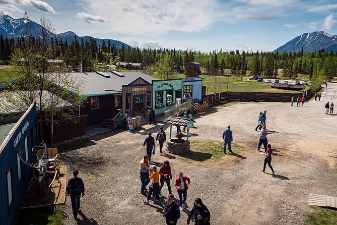 Wild Adventure Yukon Tour Into Canada Including City and Summit - Tour Experience and Guide Feedback