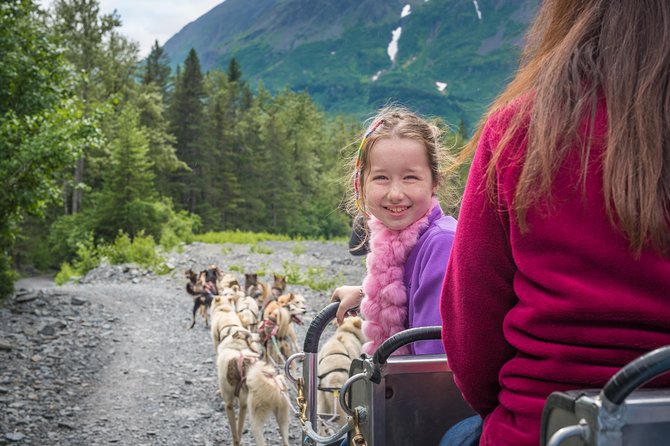 Wilderness Dog Sled Ride and Tour in Seward - The Sled Dog Ride Experience