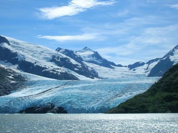 Wilderness, Wildlife, Glacier Experience From Anchorage - Inclusions and Pricing