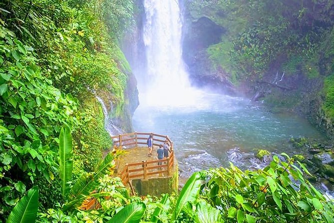 Wildlife Refuge La Paz Waterfall Gardens Day Trip From San Jose - Highlights of the Tour Experience