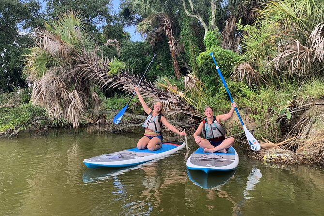 Wildlife Refuge Manatee, Dolphin & Mangrove Kayak or Paddleboarding Tour! - Encountering Manatees, Dolphins, and Bird Species