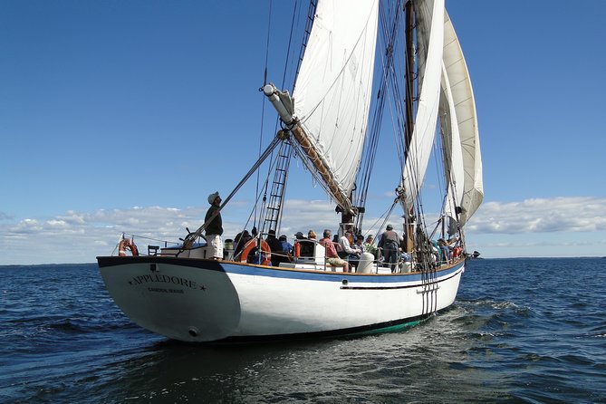 Windjammer Classic Day Sail From Camden, Maine - Tour Details