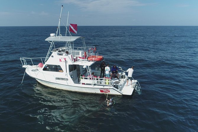 Wreck and Bridge Span Dive for Certified Divers - Certification Requirements