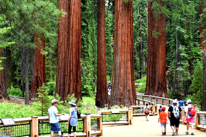 Yosemite Highlights Small Group Tour - Included Amenities