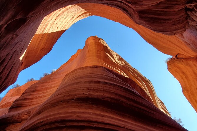 YOU DRIVE!! 4 HR Hog Canyon & Peek-a-Boo Slot Canyon UTV Tour - Hog Canyon Adventure