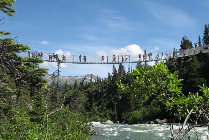 Yukon Suspension Bridge and Summit Tour - Experiencing the Itinerary