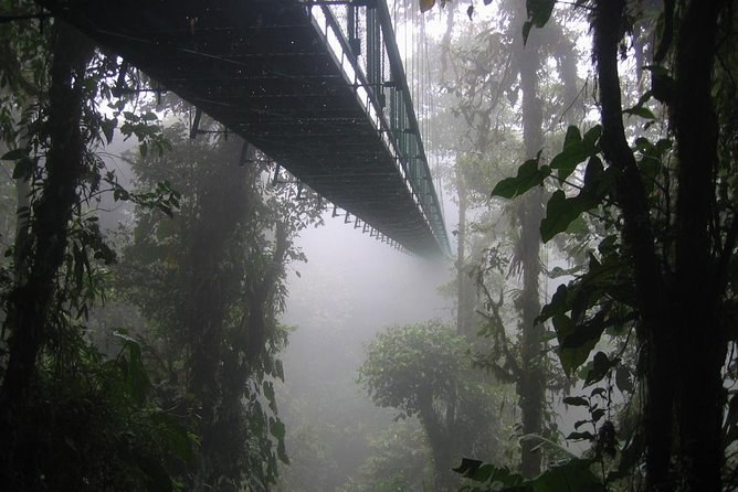 Zipline and Hanging Bridges Combo Tour in Monteverde Cloud Forest - Zipline Adventure