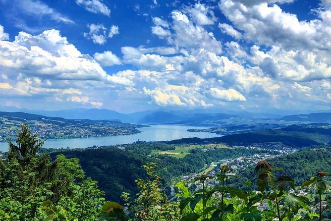 Zurich Walking Tour With Cruise and Aerial Cable Car - Historic Churches and Architecture