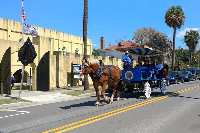 #1 Historical Horse Drawn Carriage Tour - Tour Guide and Horse Interaction