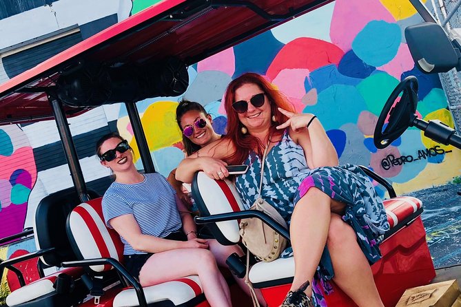 1 Hour WYNWOOD BUGGIES Tour (Language: ENGLISH) - Guide Quality and Knowledge
