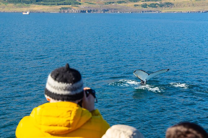 100% Whale Watching - Friendly, Knowledgeable Staff