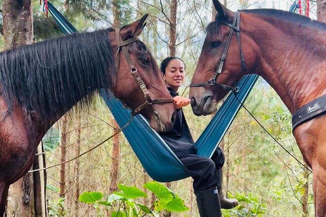 100-Year-Old Family Finca Adventure: Horseback Riding & More - Engaging With the Familys History and Traditions
