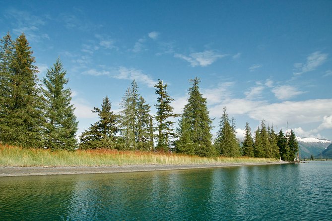 26 Glacier Cruise and Coach From Anchorage, AK - Onboard Amenities and Services