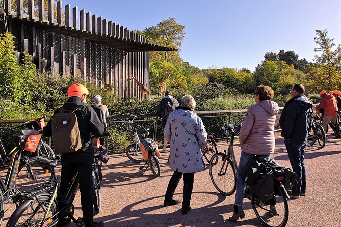 2h - Electric Bike Tour of Lyon With a Local Guide - Equipment and Safety