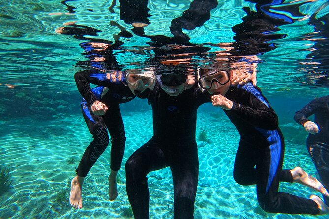 3 Hours Manatee Swim Tour in Florida - Meeting Point and Transportation