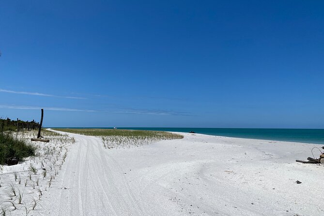 4-Hour St. Pete Pier to Egmont Key Experience by Ferry - Wildlife and Scenery Highlights