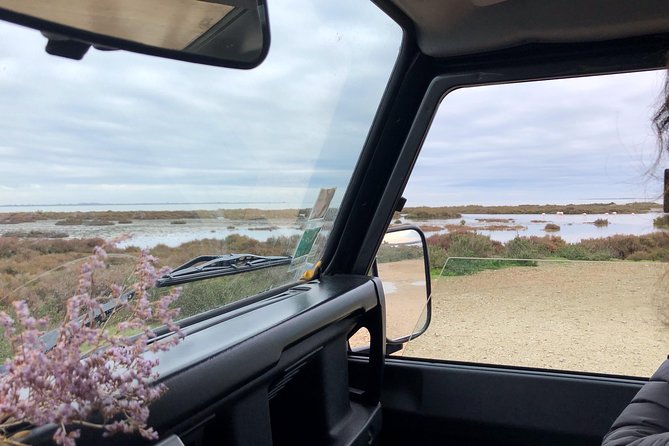 4x4 Camargue Safari 4h - Departure From Arles - Safety and Accessibility