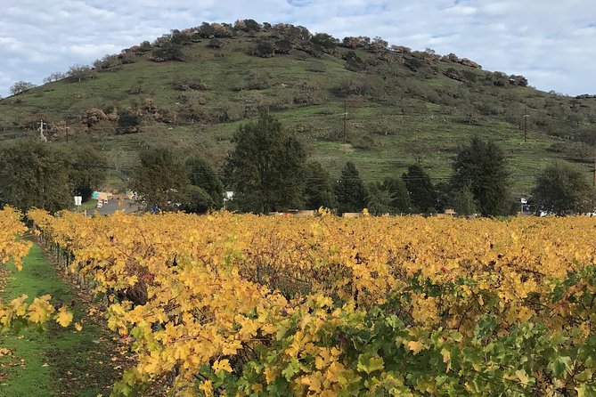 6-8hr Private Sonoma and Napa Wine Tour From San Francisco.Xl SUV - Booking and Cancellation Policy