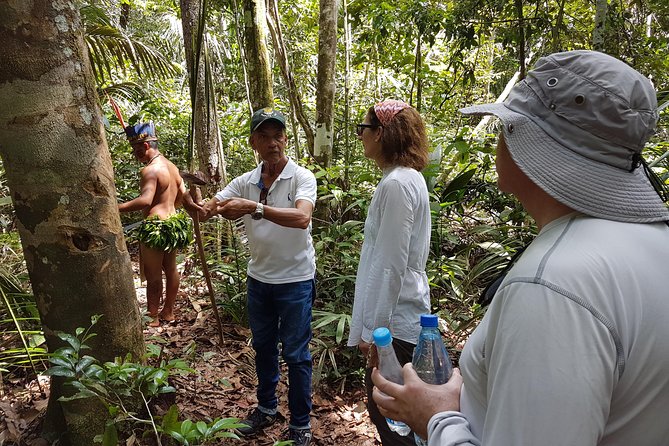 8-Hour Amazonas Jungle Treck & Anavilhanas Archipelago - Culinary Delight