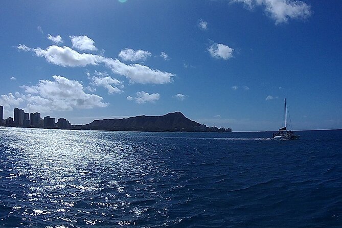 9am Turtle Canyon Snorkel Adventure - Pricing and Offers