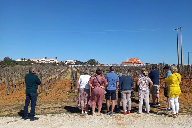 Albufeira or Vilamoura: Winery Wine and Tapas Boards - Wine Tasting Experience