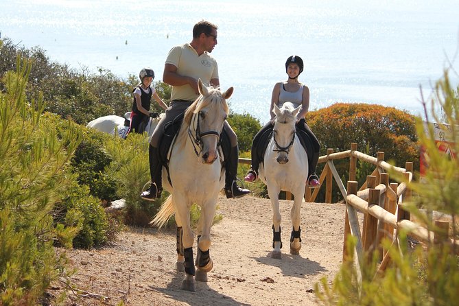 Algarve - Exclusive Horseriding in Portimao (No Experience Required) - Suitable for All Skill Levels