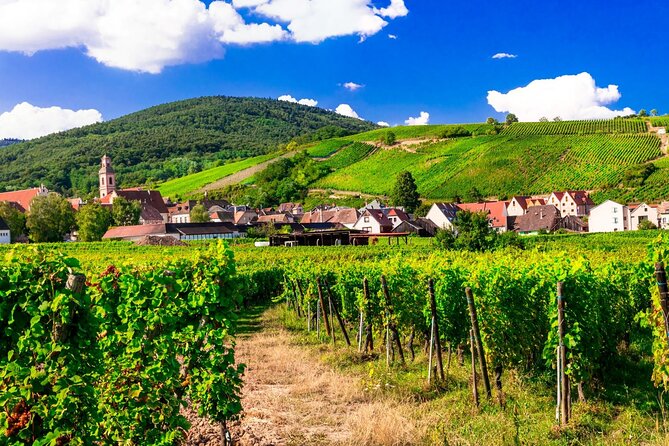 Alsace Wine Route Small Group Half-Day Tour With Tasting From Strasbourg - Tour Requirements and Restrictions