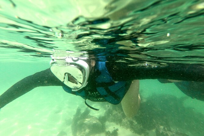 Aqua Aventura - Diving for Families - Exploring the Sepultura Beach With Aqua Aventura