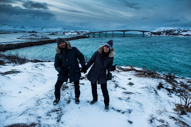 Arctic Nature Photography Sightseeing Tour From Tromso - Weather and Wildlife Expectations