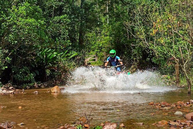 ATV Adventure Through the Forest With Canyon Views - What to Expect