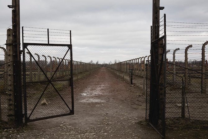 Auschwitz-Birkenau & Wieliczka in One Day Half Private Tour - Logistical Considerations