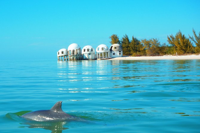Avis Premium Dolphin Tour by Jet Ski - Safety and Equipment