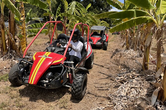 Bamboo Dune Buggy Tour - Customer Reviews and Feedback