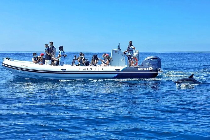 Benagil Caves Visit With Dolphins Watching From Albufeira - Exploring the Breathtaking Benagil Caves
