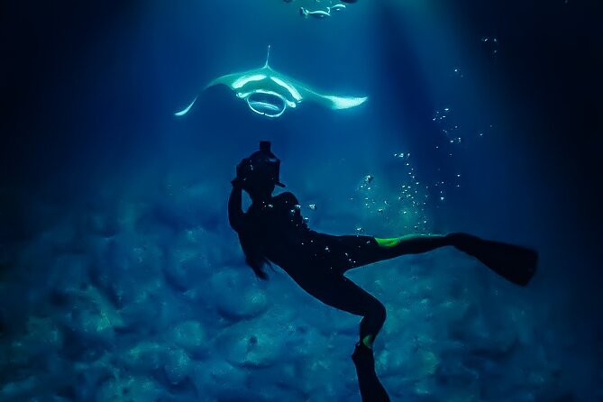 Big Island, Kona Manta Ray Night Snorkel Tour - Guest Experiences
