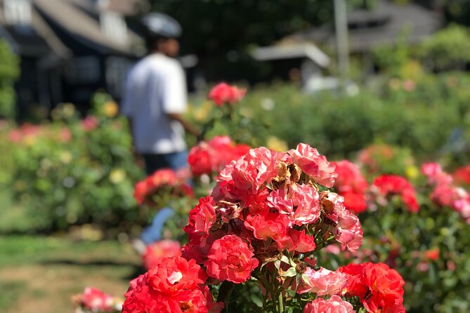 Bike Around Portland Oregon: Art, Culture, Bridges, Poetry - Indulging in Portlands Donut Delights