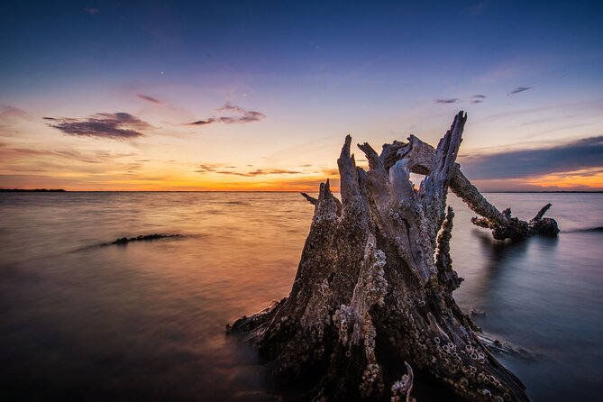 Bioluminescent Clear Kayak Tours in Titusville - Exceptional Kayak Design
