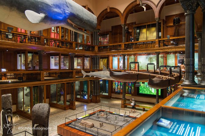 Bishop Museum General Admission Ticket - Special Attractions