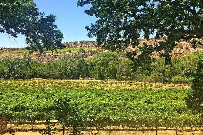 Bliss - Sedona's Most Luxurious Wine Tour - Lunch Included! - Additional Information and Accessibility