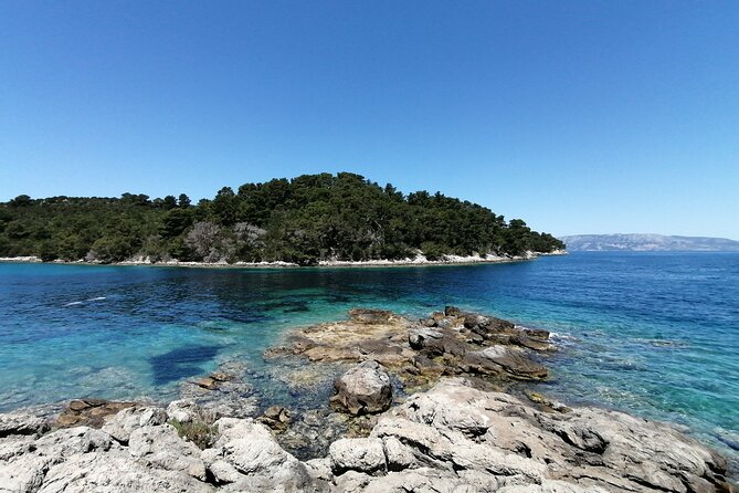 Boat Tour to Mljet National Park & 3 Islands - Experience and Activities